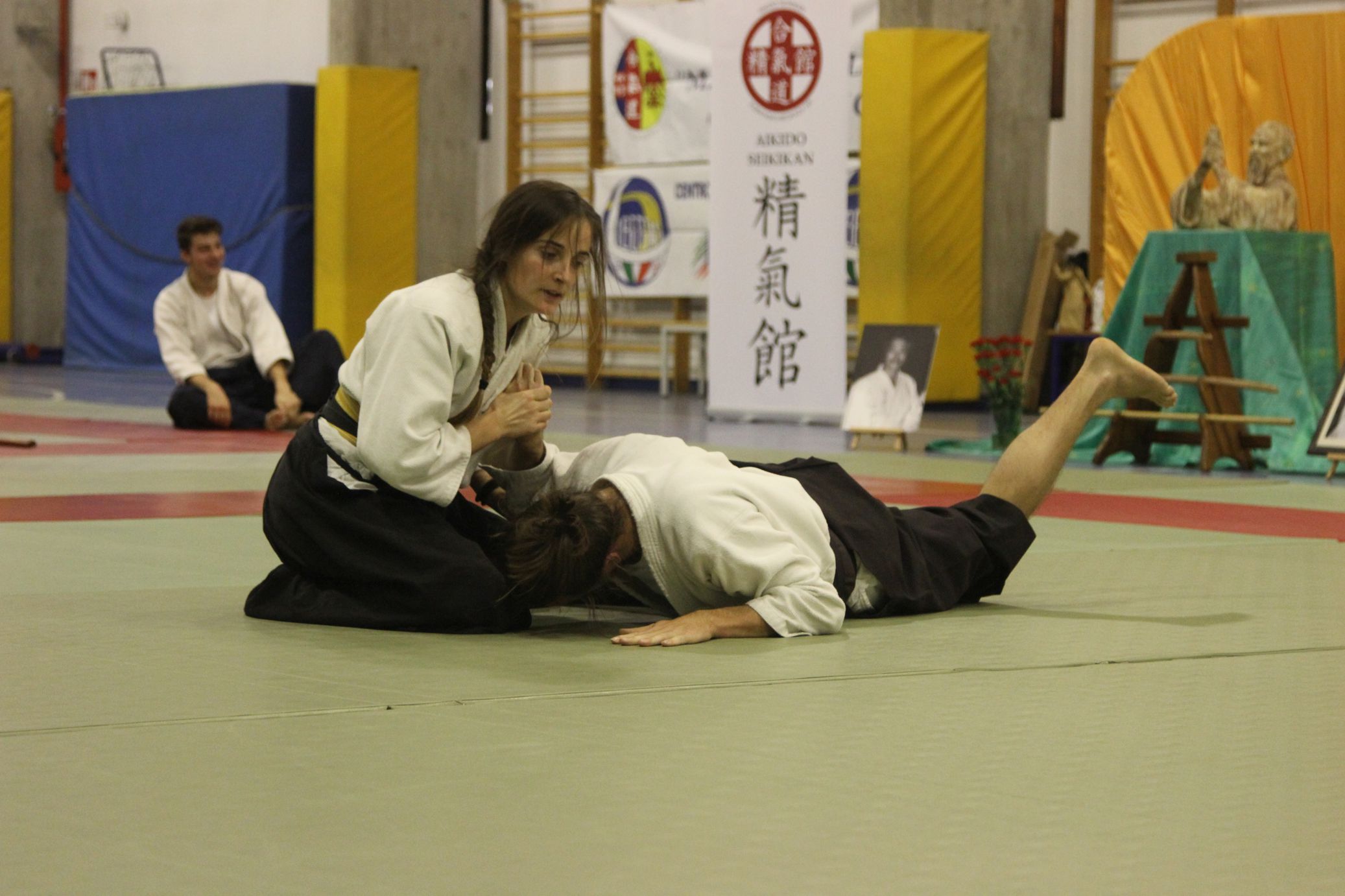 stage fondazione seikikan - esami 1° Kyu