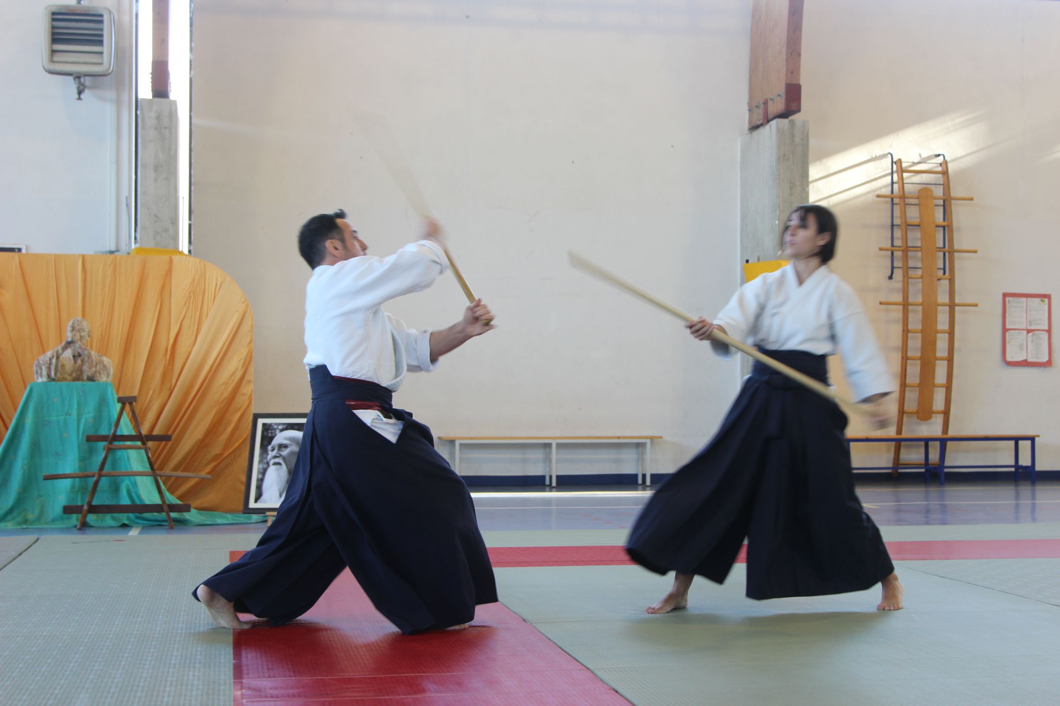 stage fondazione seikikan - tecniche con jo