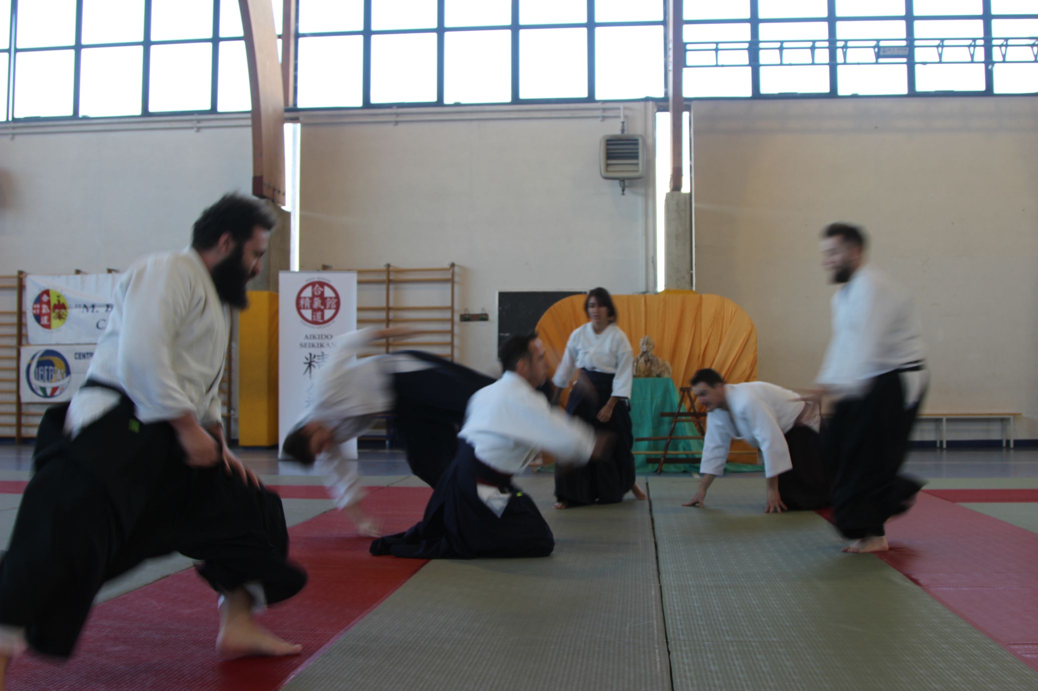 dimostrazione di tecniche da seiza - Maestro Paolo Tessaro